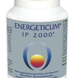 Energeticum IP 2000