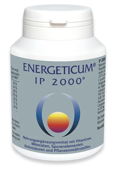 Energeticum IP 2000