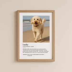 Fotoposter Definition 'Dog'