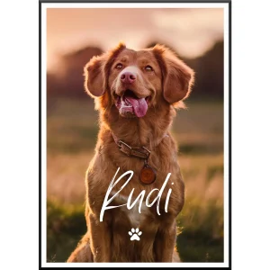 Fotoposter My Dog