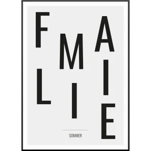 Family Chaos Poster